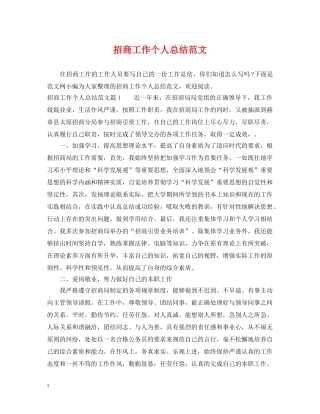 招商工作个人总结范文 