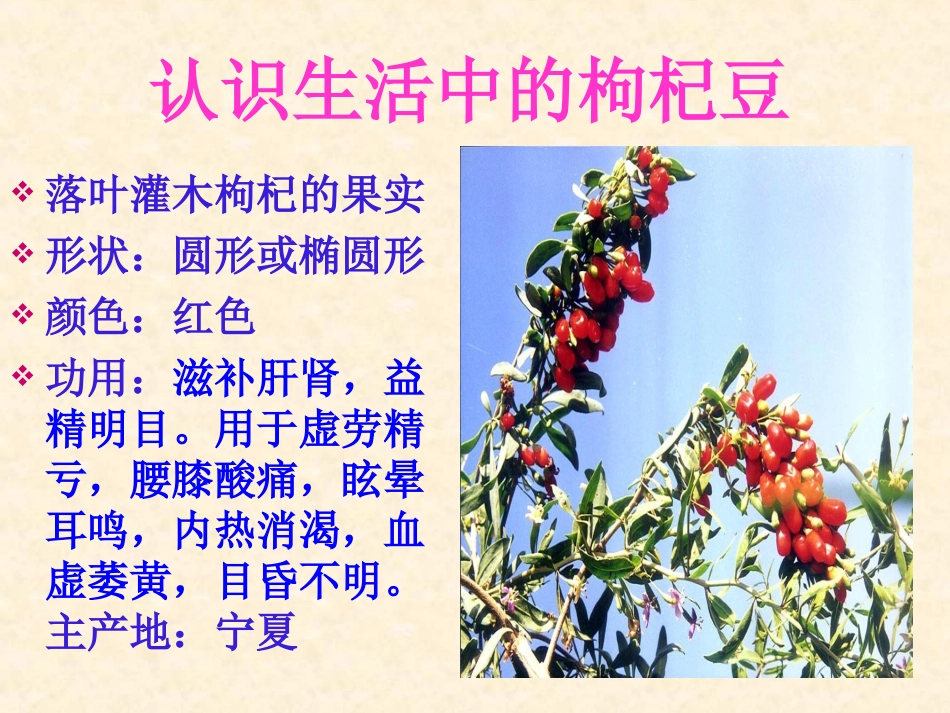 《三颗枸杞豆》课件_第3页