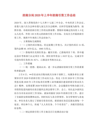 招商分局2020年上半年招商引资工作总结 