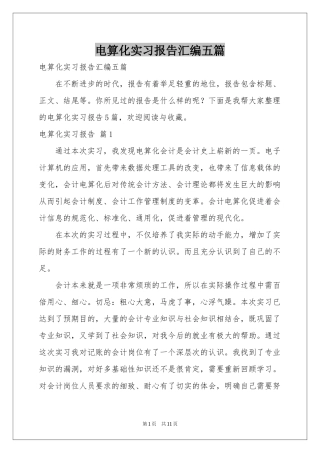 电算化实习报告汇编五篇