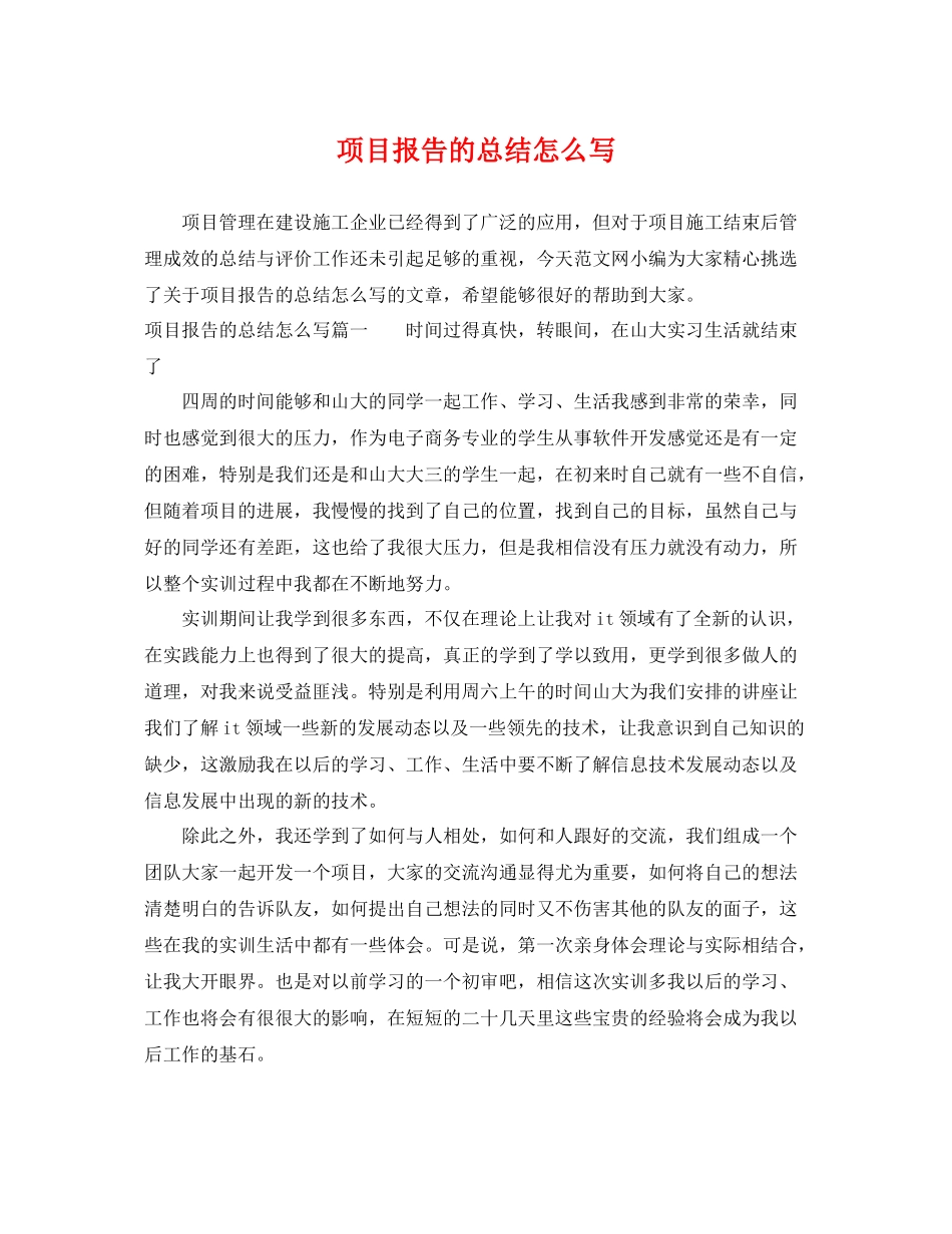 项目报告的总结怎么写 _第1页
