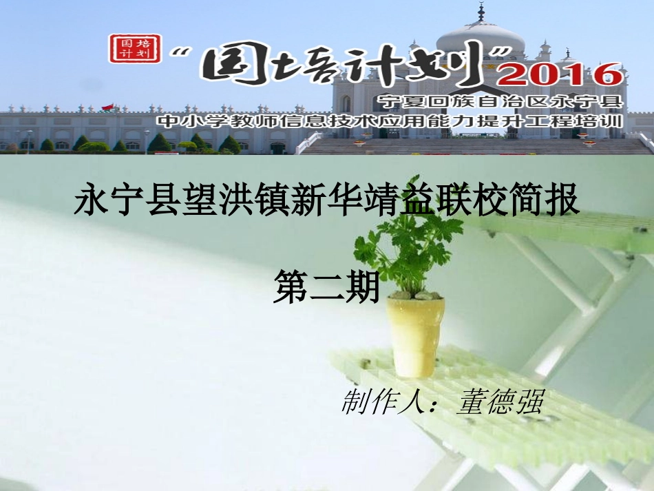 永宁县望洪镇新华_第1页