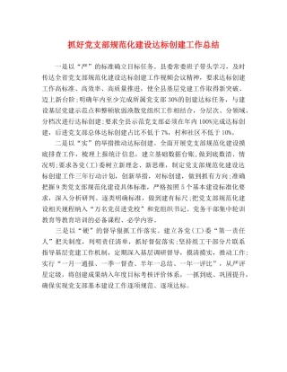 抓好党支部规范化建设达标创建工作总结 
