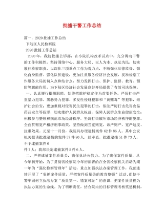 批捕干警工作总结 
