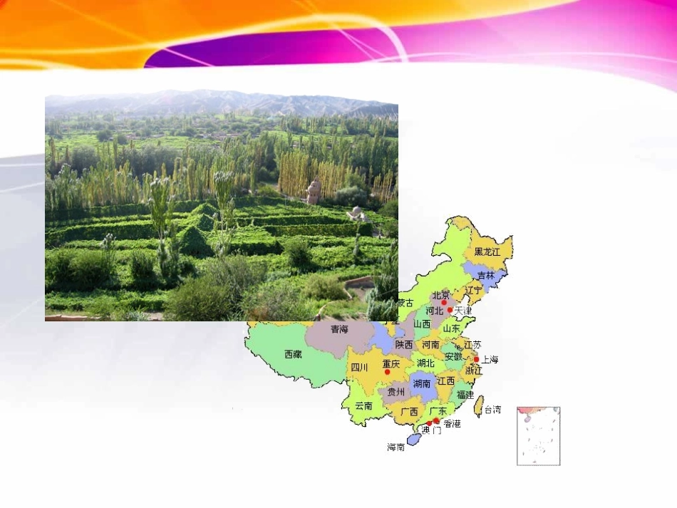 葡萄沟 ()_第3页