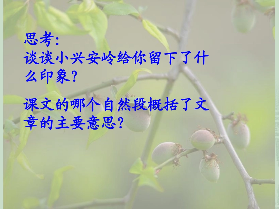 美丽的小兴安岭PPT (2)_第3页