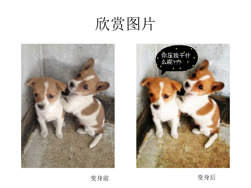 创意摄影（学生）_第3页