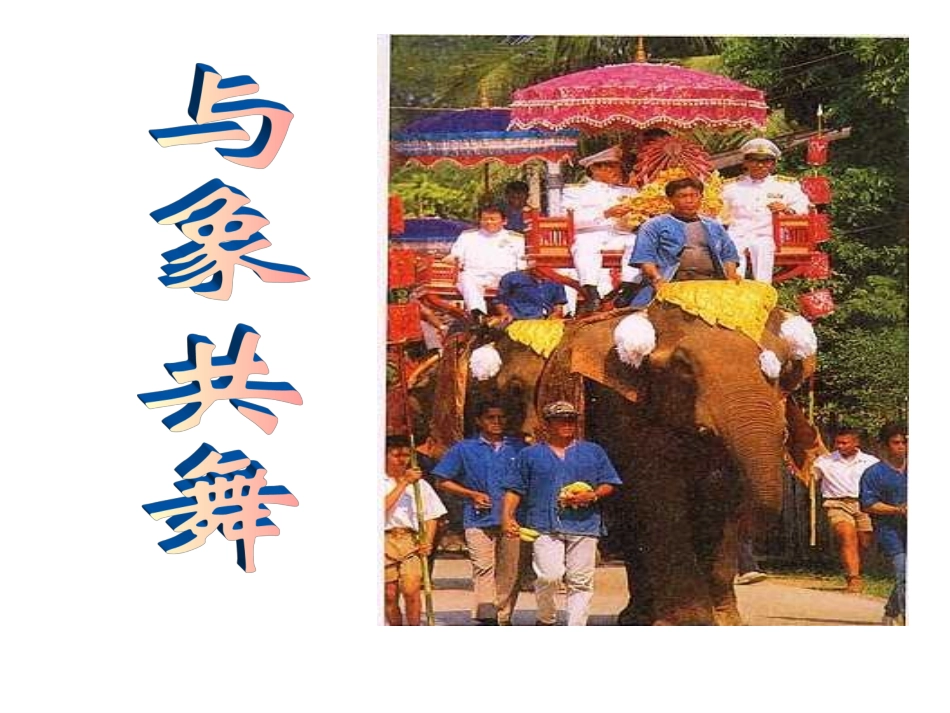 与象共舞课件[]_第1页