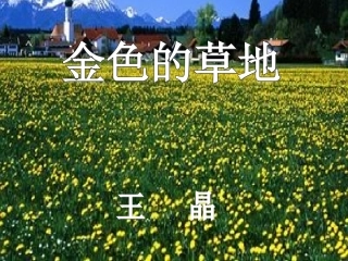《金色的草地。。》