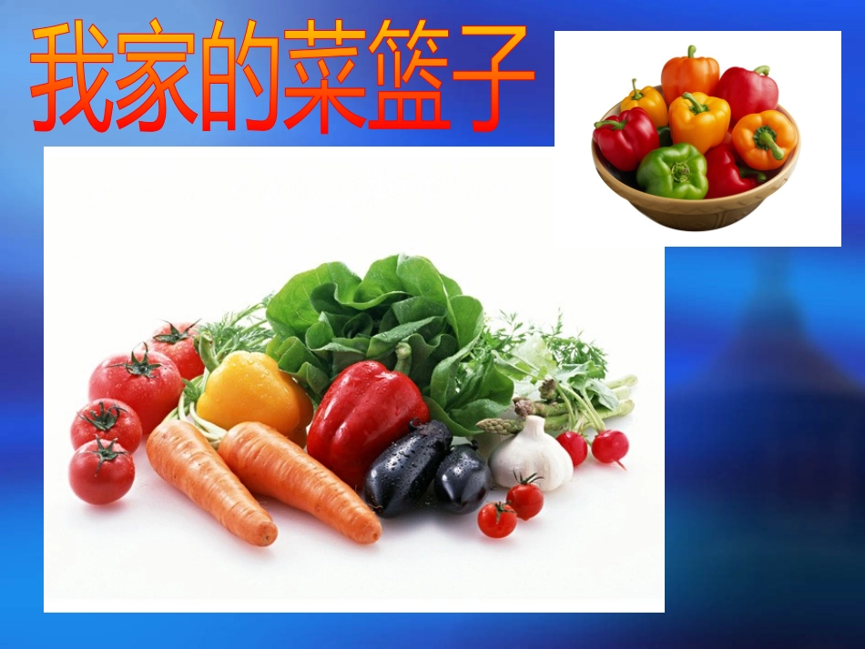《我家的菜篮子》课件_第1页