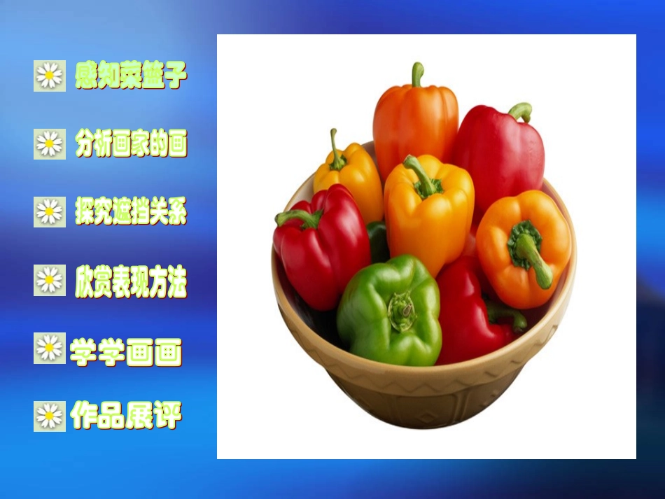 《我家的菜篮子》课件_第2页
