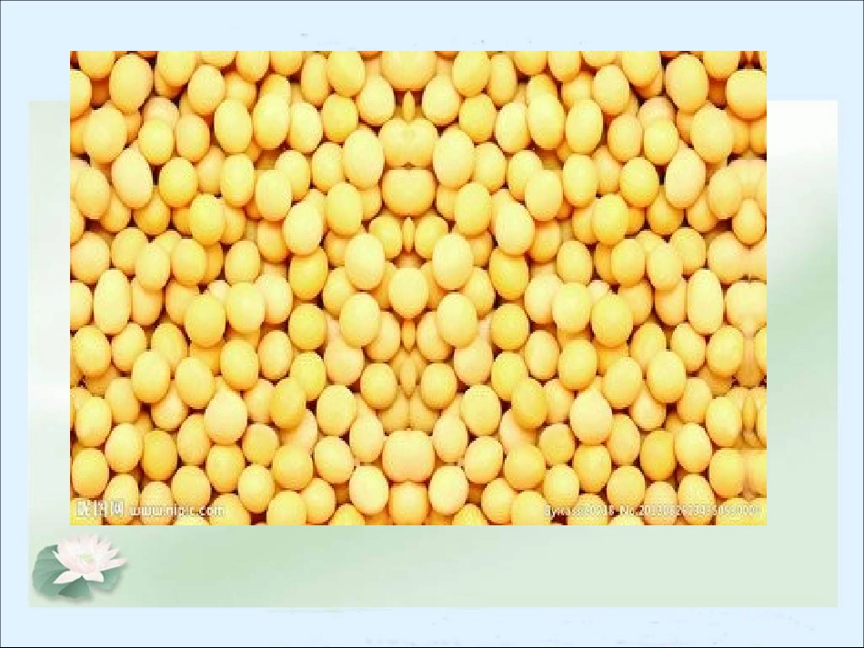 营养含量课件_第1页