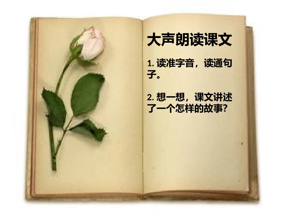 给予是快乐的教学课件_第3页