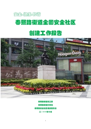 春熙路安全社区报告
