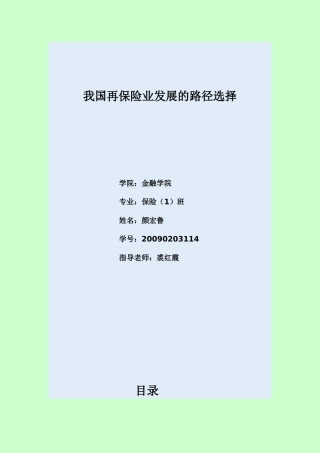 我国再保险业发展的路径选择