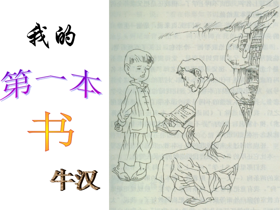 我的第一本书 (2)_第1页