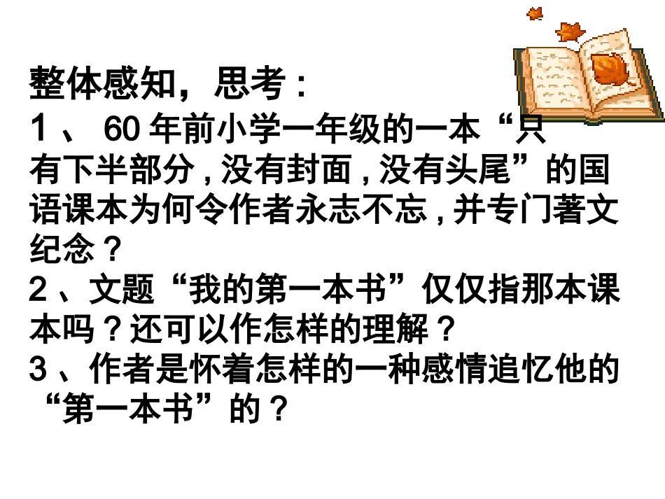 我的第一本书 (2)_第3页