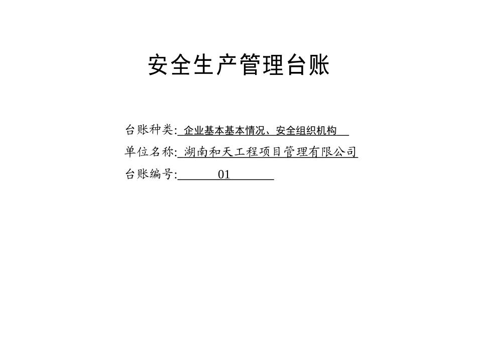 安全监理台账_第3页