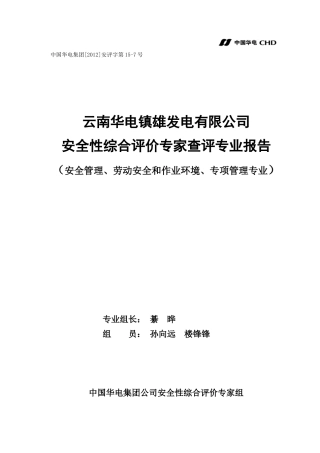 镇雄发电公司安全查评报告