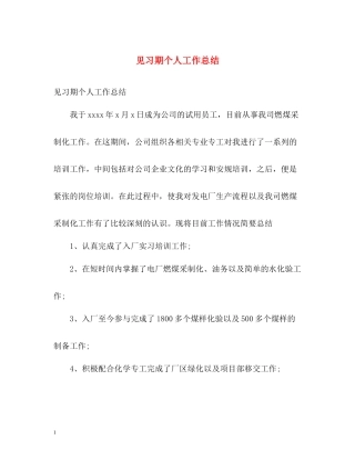 见习期个人工作总结