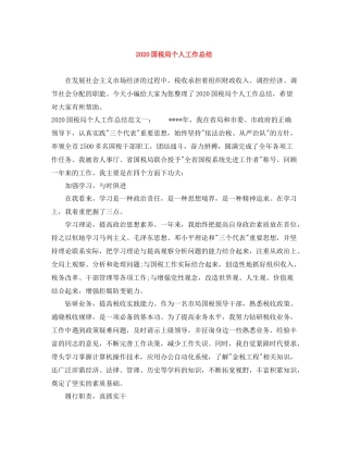 国税局个人工作总结