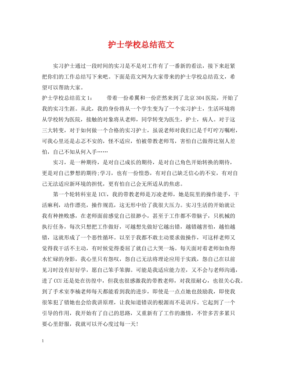 护士学校总结范文_第1页