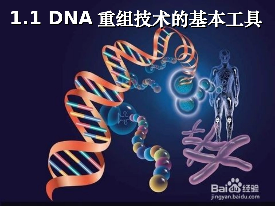 基因工程的基本工具_第1页