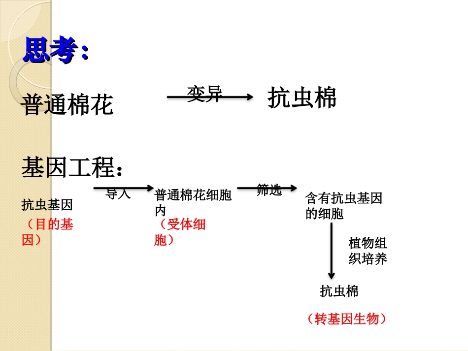 基因工程的基本工具_第2页