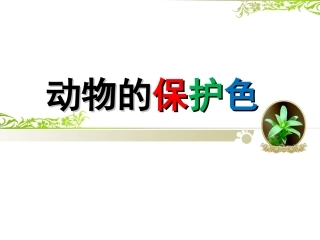 动物的保护色
