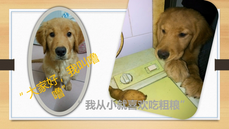 电子相册32_第2页