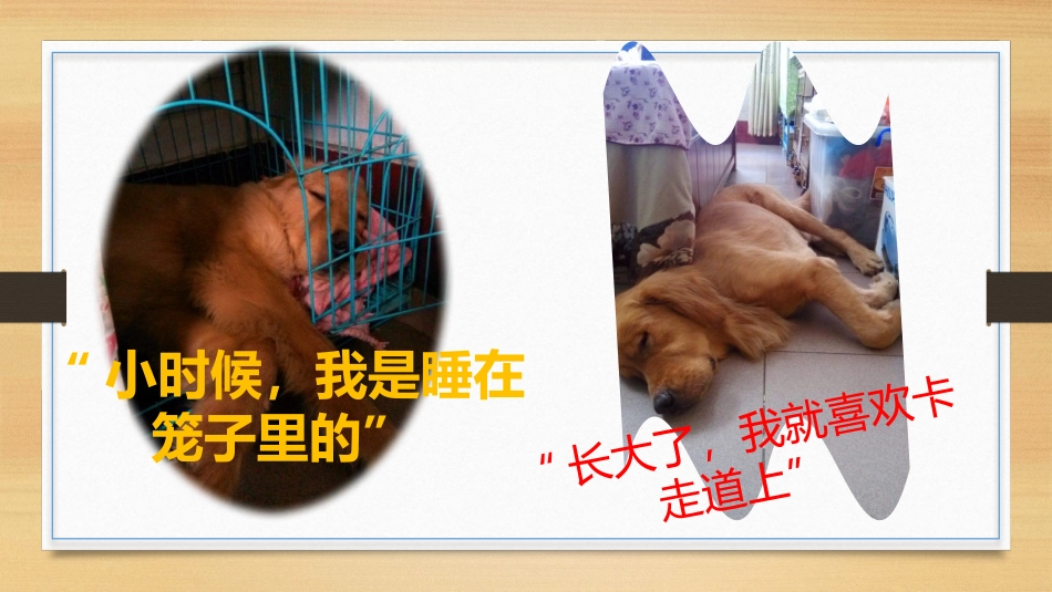 电子相册32_第3页