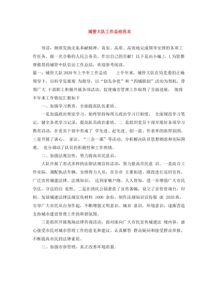 城管大队工作总结范本