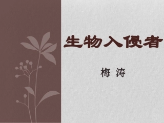 生物入侵者课件