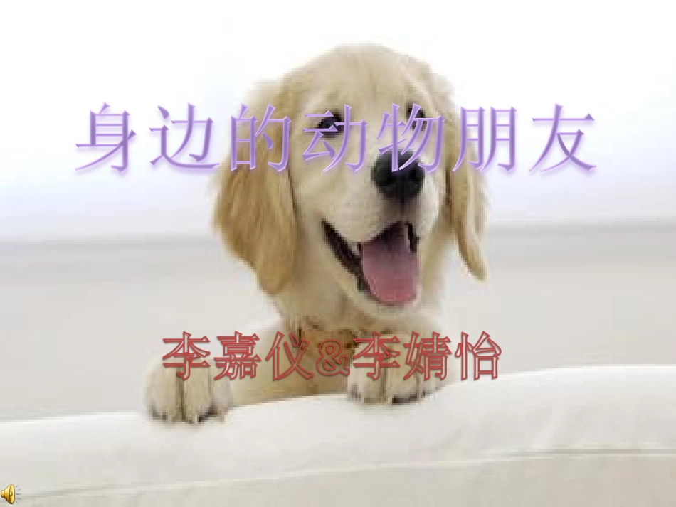 身边的动物朋友_第1页