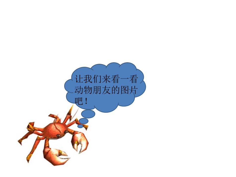 身边的动物朋友_第2页