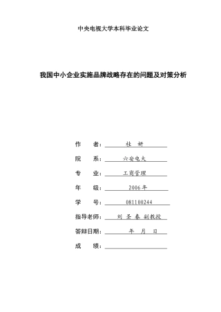 我国中小企业实施品牌战略存在的问题及对策分析