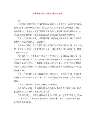 公司新员工个人试用期工作总结格式