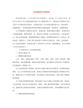 财务审计年终总结