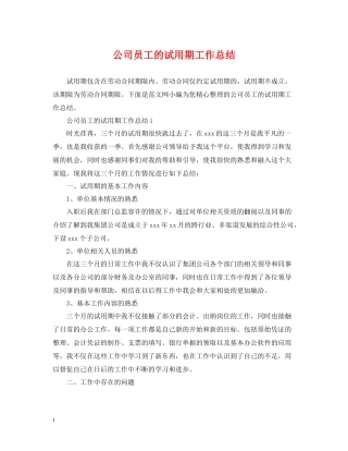 公司员工的试用期工作总结