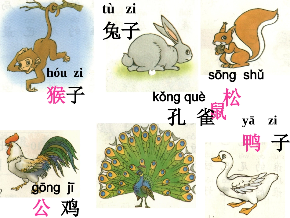 比尾巴2课件_第2页