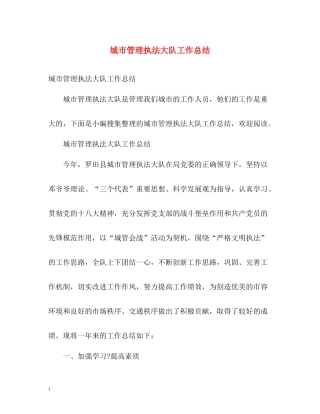 城市管理执法大队工作总结2)