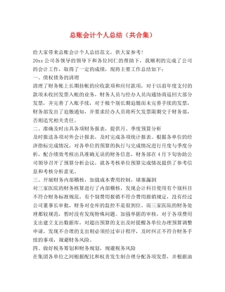 总账会计个人总结（共合集） 