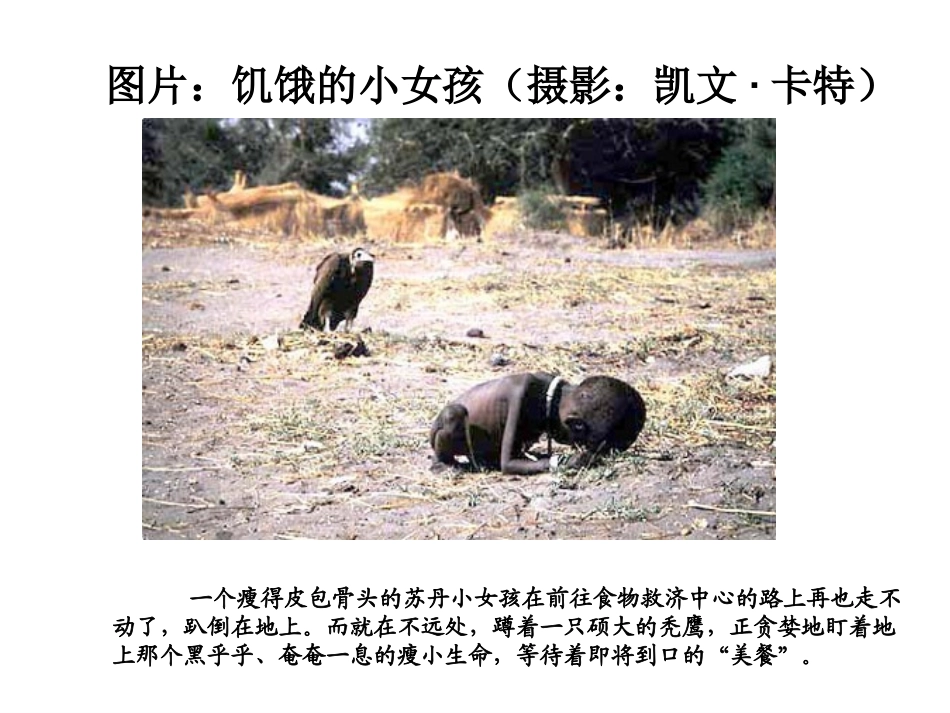 食物中的营养物质_第2页