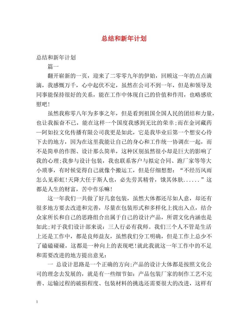 总结和新年计划 _第1页