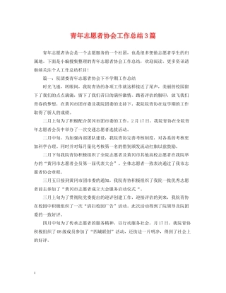 青年志愿者协会工作总结3篇