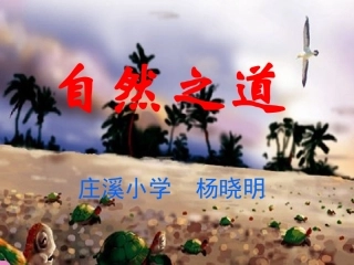 《自然之道》