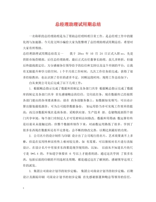 总经理助理试用期总结 