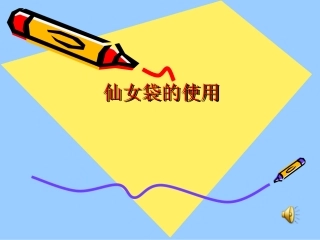 仙女袋的使用课件