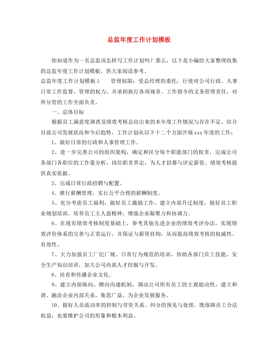 总监年度工作计划模板 _第1页