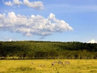 逐水草而居上课